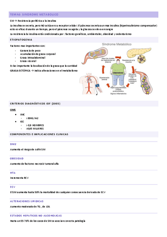 TEMA-6-SM.pdf