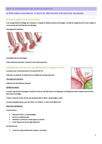 TEMA-10-enfer.-del-aparato-digestivo.pdf