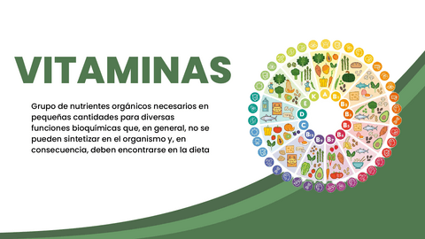 Vitamina-B6-Piridoxina.pdf