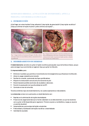 Seminario-heridas-enf.-clinica.pdf