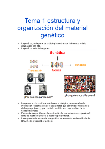 Tema-1-Estructura-y-organizacion-del-material-genetico-Genetica.docx.pdf