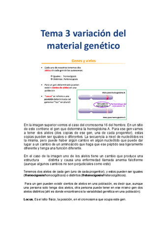 Tema-3-Variacion-del-material-genetico-gentica.docx.pdf