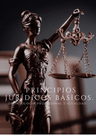 Principios-juridicos-basicos-Organizacion-general.pdf