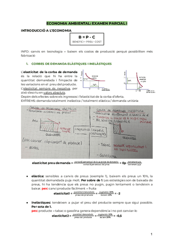 TEORIA-PARCIAL-I-ECONOMIA-AMBIENTAL-petunets.pdf