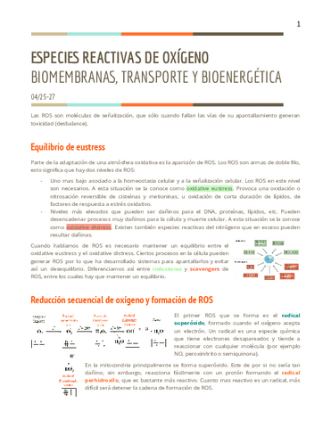 T12BTB.pdf