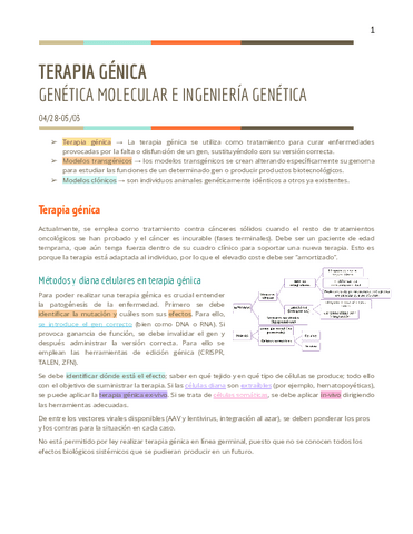 T5-GM.pdf