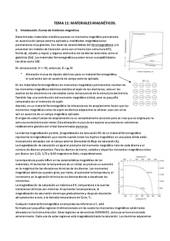 TEMA-11.pdf