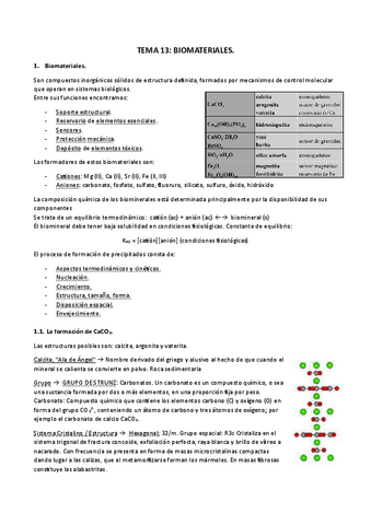 TEMA-13.pdf