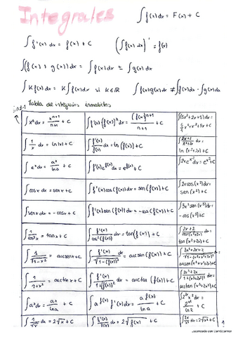 Temas-Integrales.pdf