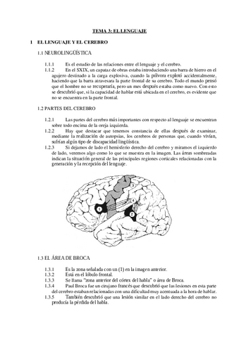 TEMA-3-EL-LENGUAJE.pdf