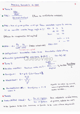 Organización y gestión de Empresas Formulario + Resumen.pdf