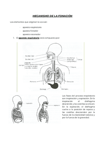 A.-Educacion-Vocal-y-Practica-coral.pdf