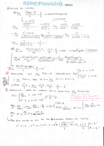 Autoevaluacion-T2.pdf