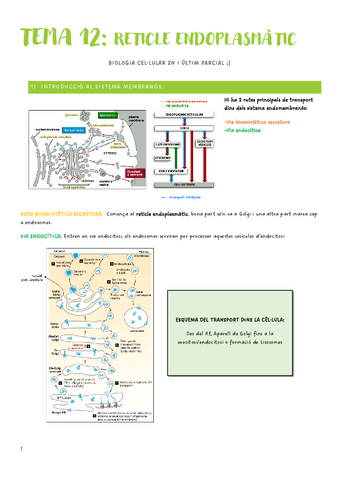 Segon-Parcial-Biologia-Cellular-t-13-t-20.pdf