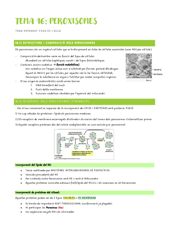 Segon-Parcial-Biologia-Cellular-peroxisomes--mitosi.pdf