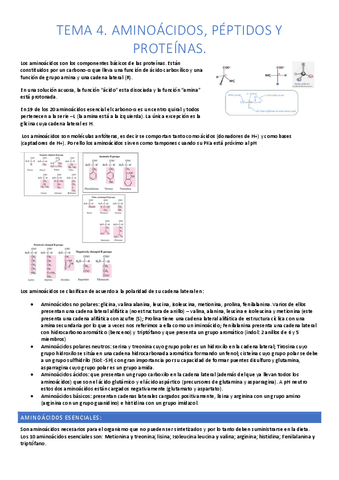 tema-4-biioquimica-apuntes.pdf