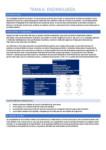 tema-6-bioquimica-apuntes.pdf