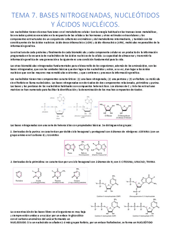 tema-7-bioquimica-apuntes.pdf