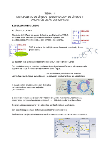 BIOQUIMICA-tema-14.pdf