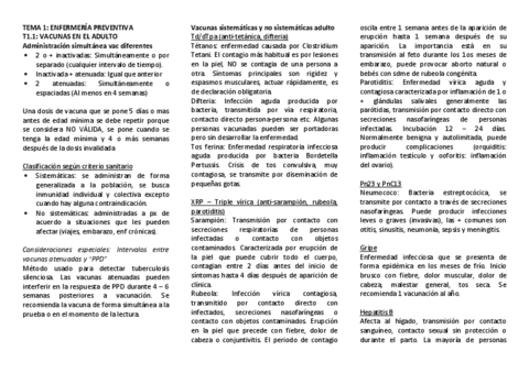 RESUMEN-ADULTOS-II.pdf