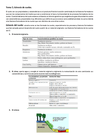 Tema-7-edafologia-Genesis-de-suelos.pdf