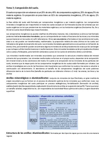 Tema-8-Composiccion-d3el-suelo.pdf