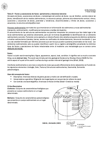 Tema03Facies.pdf