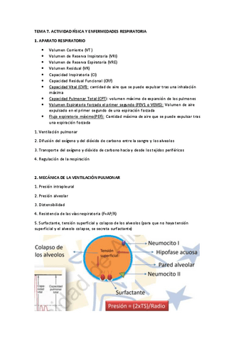 TEMA-7-ENFERMEDADES-RESPIRATORIA-RESUMEN.pdf