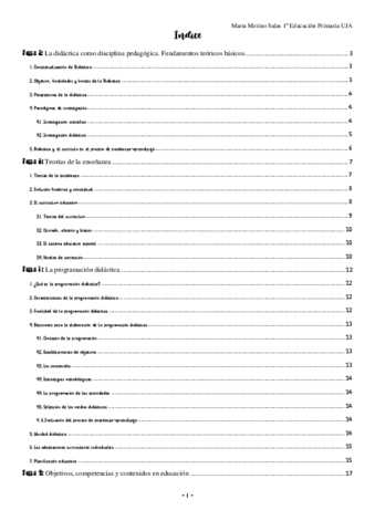 DIDÁCTICA- apuntes mitad de curso.pdf