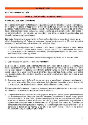 DERECHO-PENAL.pdf
