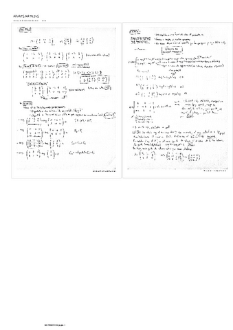 APUNTS-MATRIUS.pdf