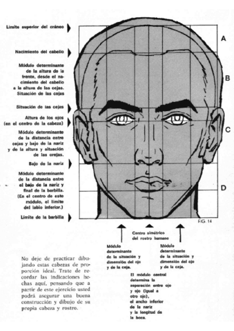 semana-12.1.pdf