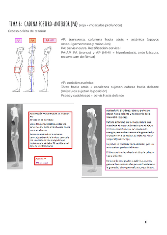 METODOS-CADENAS-MUSCULARES-T6-T7.pdf