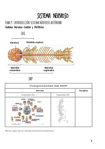 BLOQUE-2-FARMACOLOGIA-SISTEMA-NERVIOSO.pdf