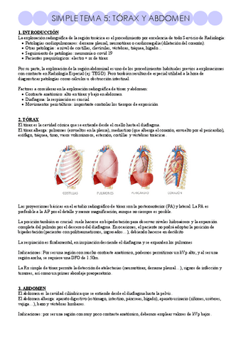 R. Simple tema 5.pdf