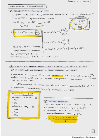 como-resolver-Relacion-1-y-2-Bioquimica.pdf