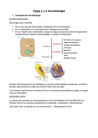 Tema-1-11.pdf