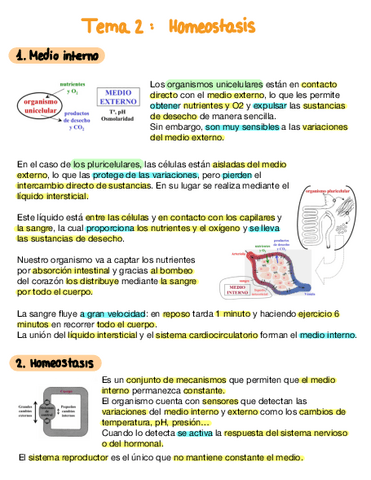 Tema-2-Homeostasis.pdf