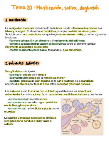 Tema-20-Masticacion-Saliva-Y-Deglucion.pdf