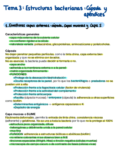 Tema-3.2-Estructuras-Bacterianas-Capsula-Y-Apendices.pdf