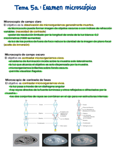 Tema-5-Examen-Microscopico-De-Las-Bacterias.pdf