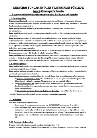 DERECHO-1o-Examen-T.-1-4.pdf