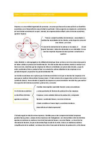 TEMAS-12-Y-3-T.-ORGANIZACION.pdf