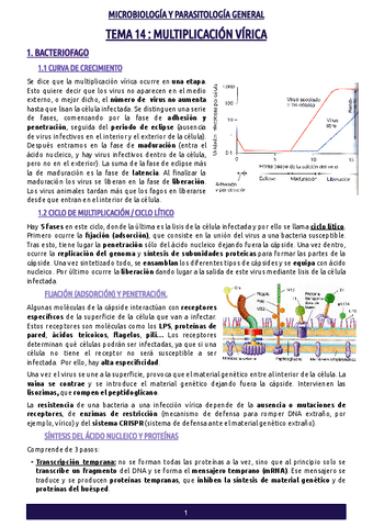 MICROBIOLOGIA-Y-PARASITOLOGIA-GENERAL-TEMA-14-18.pdf