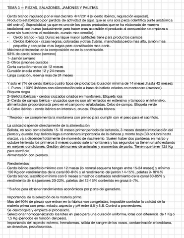 T3-salazones.pdf