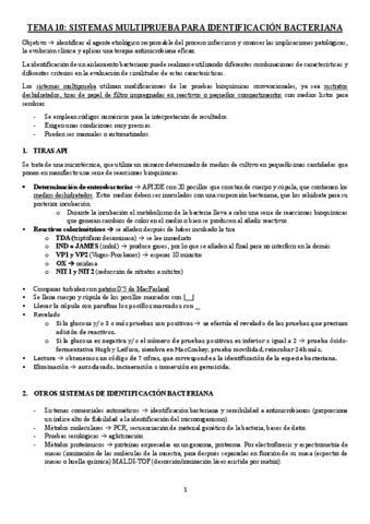 TEMA-10-Resumen-pruebas-multipruebas.pdf