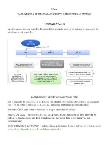 Prevencion-de-riesgos-laborales.pdf