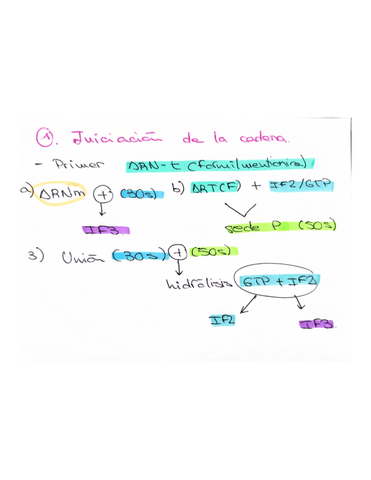 Transcripcion-del-ARNm.pdf