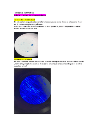 cuaderno-practicas-biologia-celular.pdf