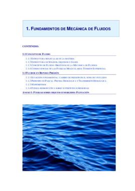 tema 1 fluidos.pdf